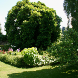 Entretien de Jardin Annuel pour une Beauté Durable Manosque